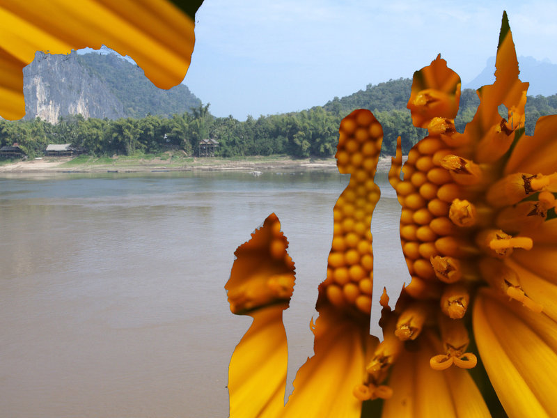 Buddha, Mekong, Pak Ou